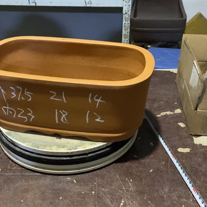 紫砂花盆只顾看手机的