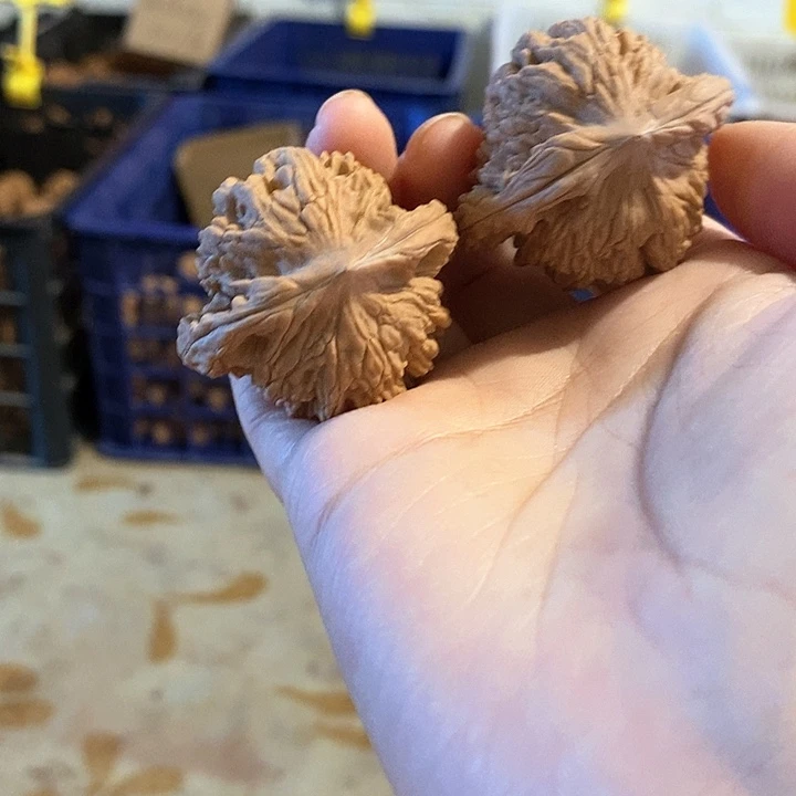 核桃手串/手链虎头