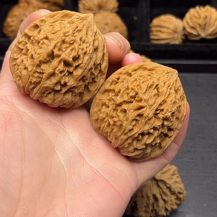 木质类秦岭突突突突突突突