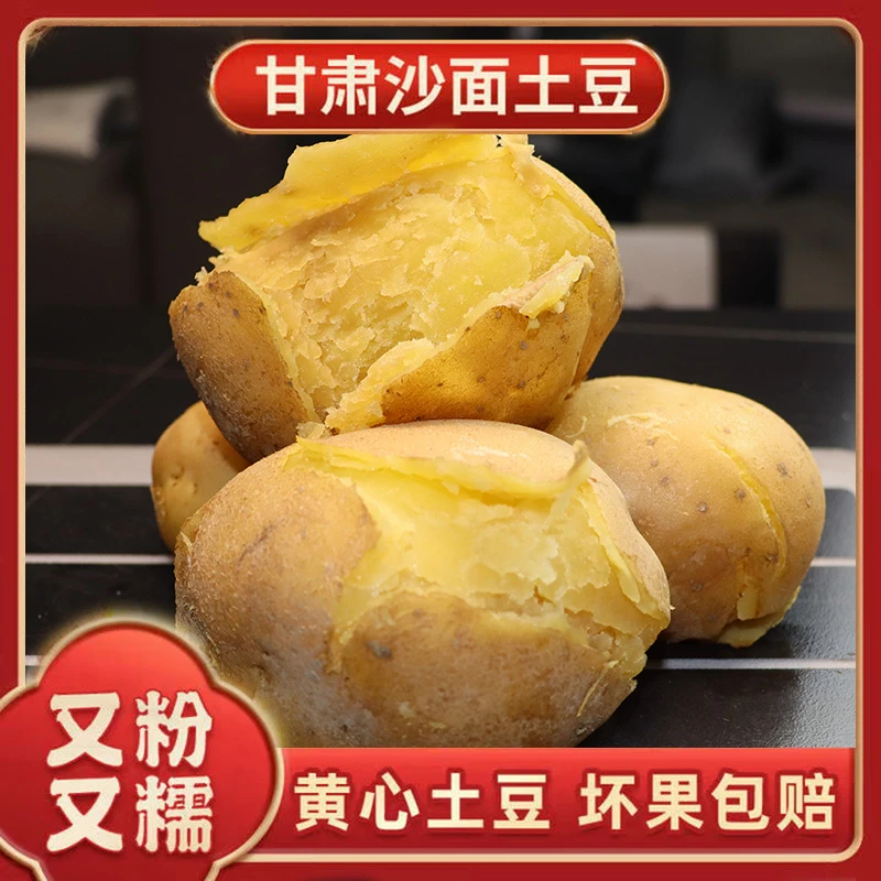 甘肃定西黄皮黄心土豆新鲜新挖 沙面软糯老品种土豆 可蒸煮烤炖肉