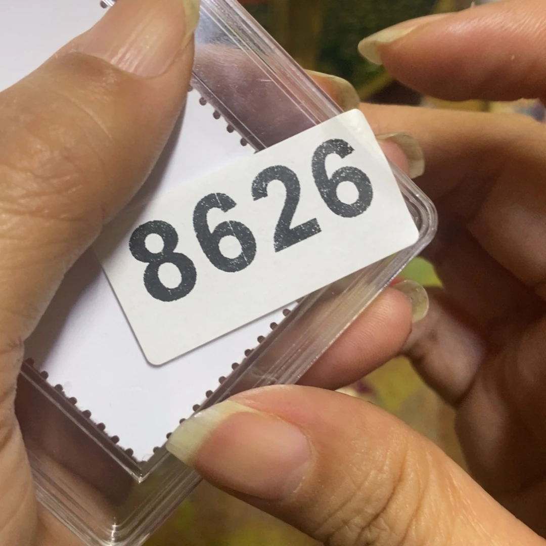 景德镇陶瓷艺术家