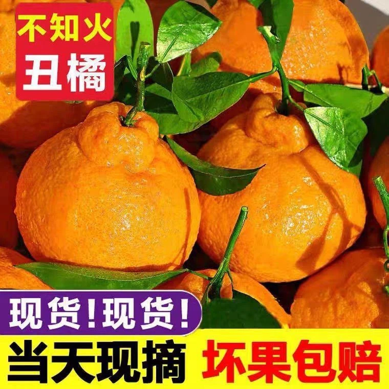 丑橘丑八怪橘子5.8/1斤  9.9/2斤四川省