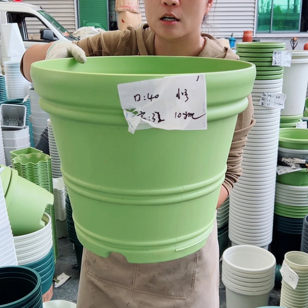 仿陶罗马小号果绿色3个无托