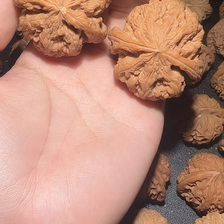 练手大粗筋45-49包邮