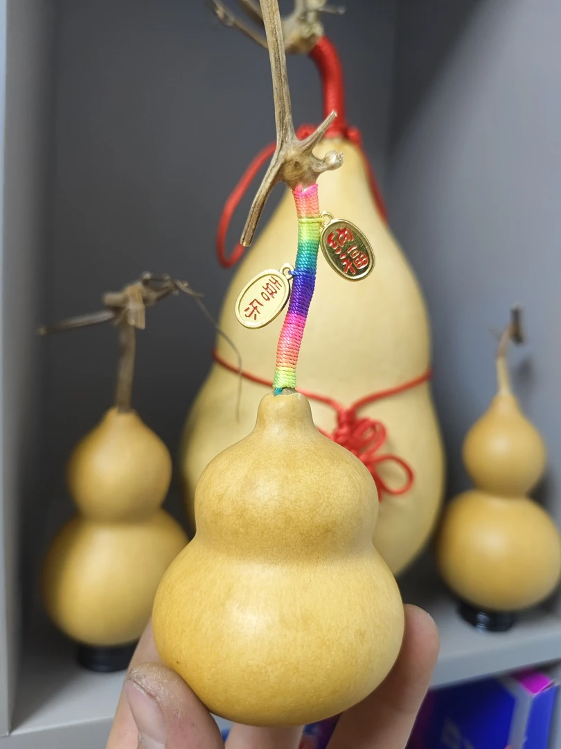 直播间葫芦链接，请勿私自下单<私自下单随便发一个小葫芦〉