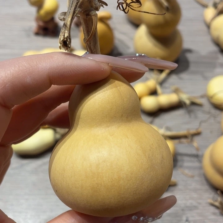 N****y粗嘴葫芦粗嘴葫芦