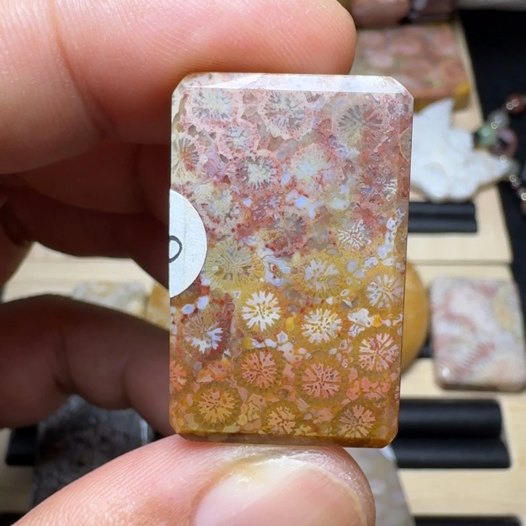 未镶嵌纯天然色有机玉石保真色硅化玉