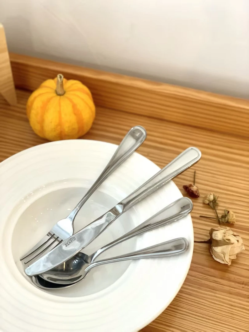 出口原单不锈钢刀叉勺子16件套