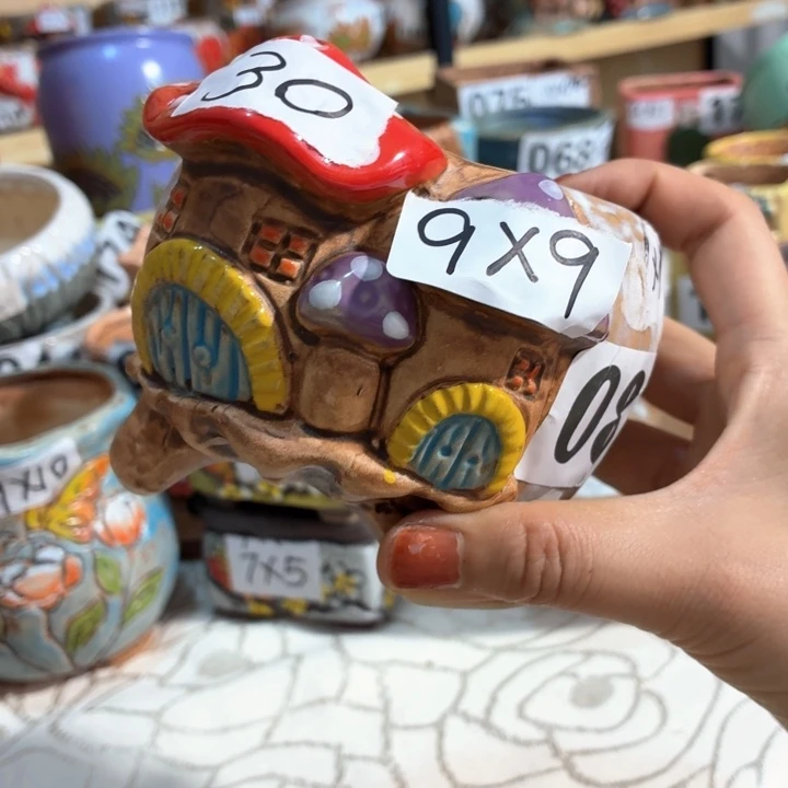 多肉花盆满15包邮