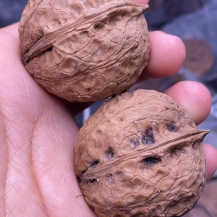 把件文玩核桃   72