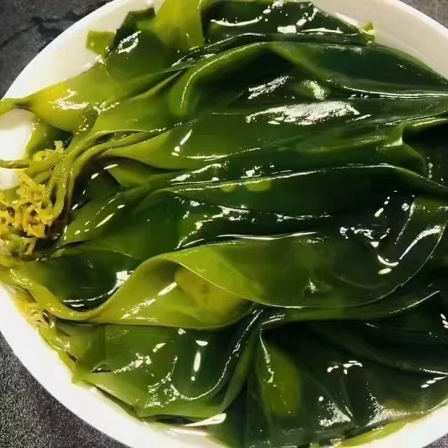 东山特产新鲜儿童盐渍凉拌煮汤火锅专用嫩苗深海纯天然海带苗