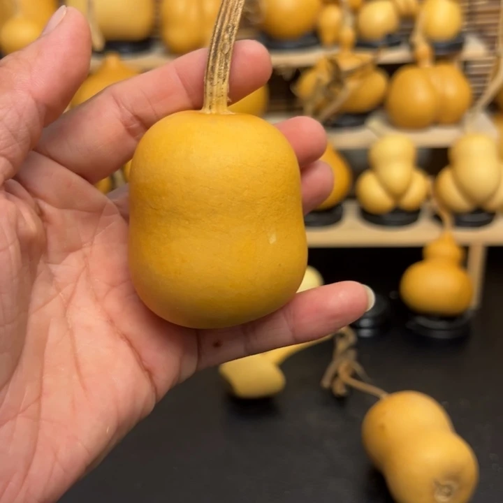 ?*?155555236856636999