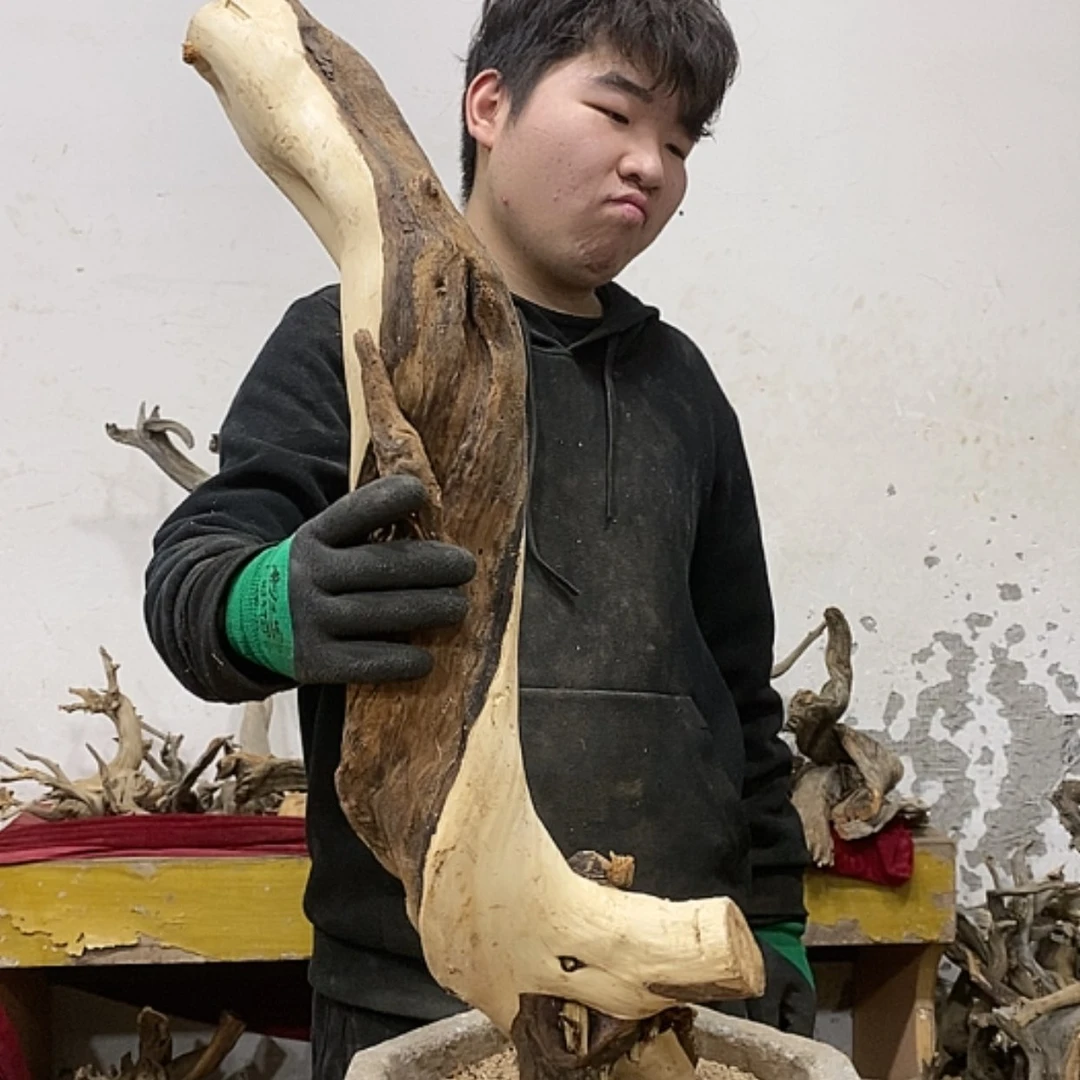 【闪购商品】柏木上****签我们都是好孩子