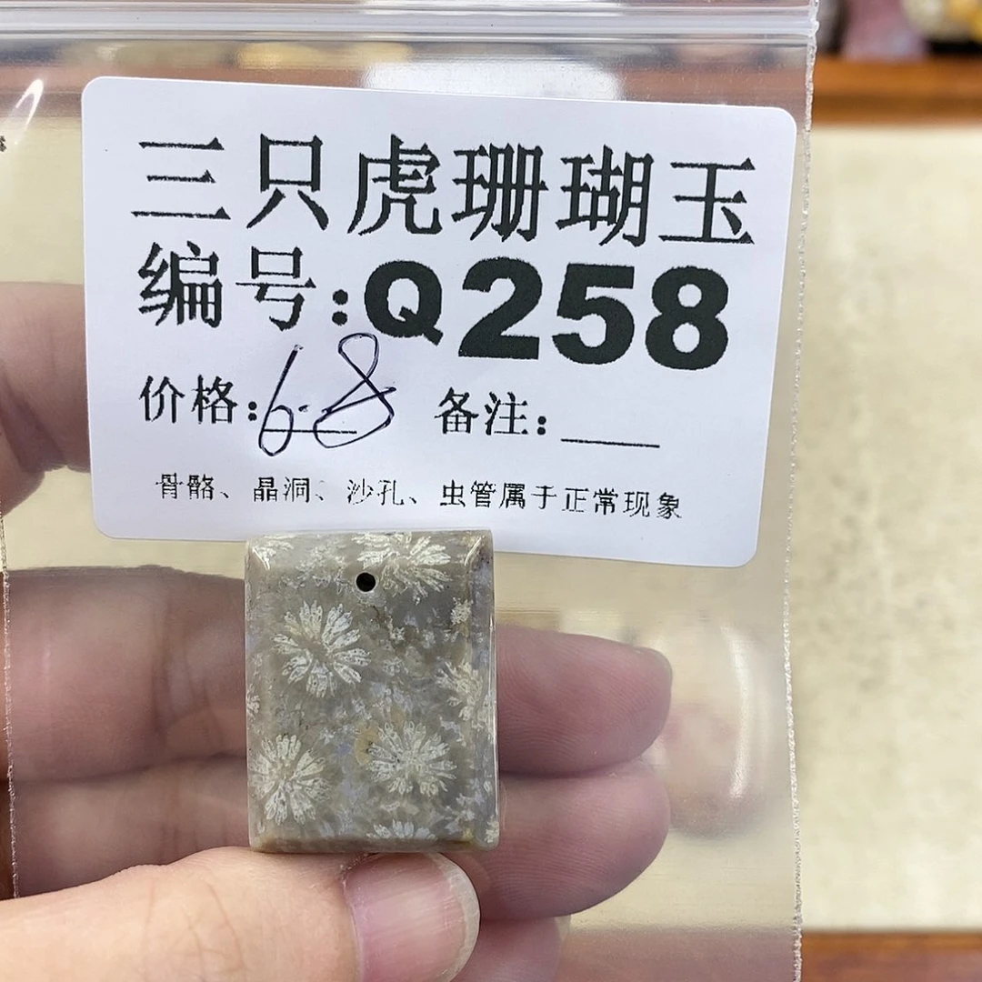 硅化珊瑚（珊瑚玉）1未镶嵌番****）