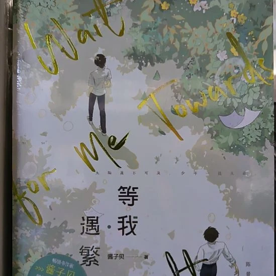 等我遇繁 全新正版图书。