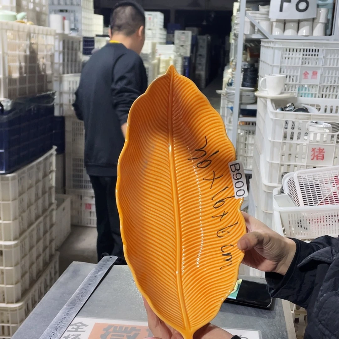 瓷片900               1个