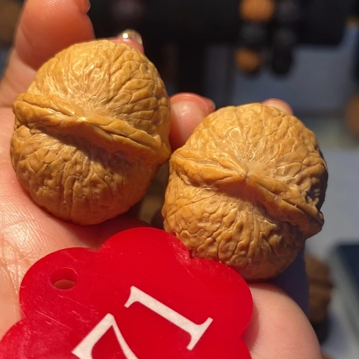 铁核桃小龙蛋32尺寸