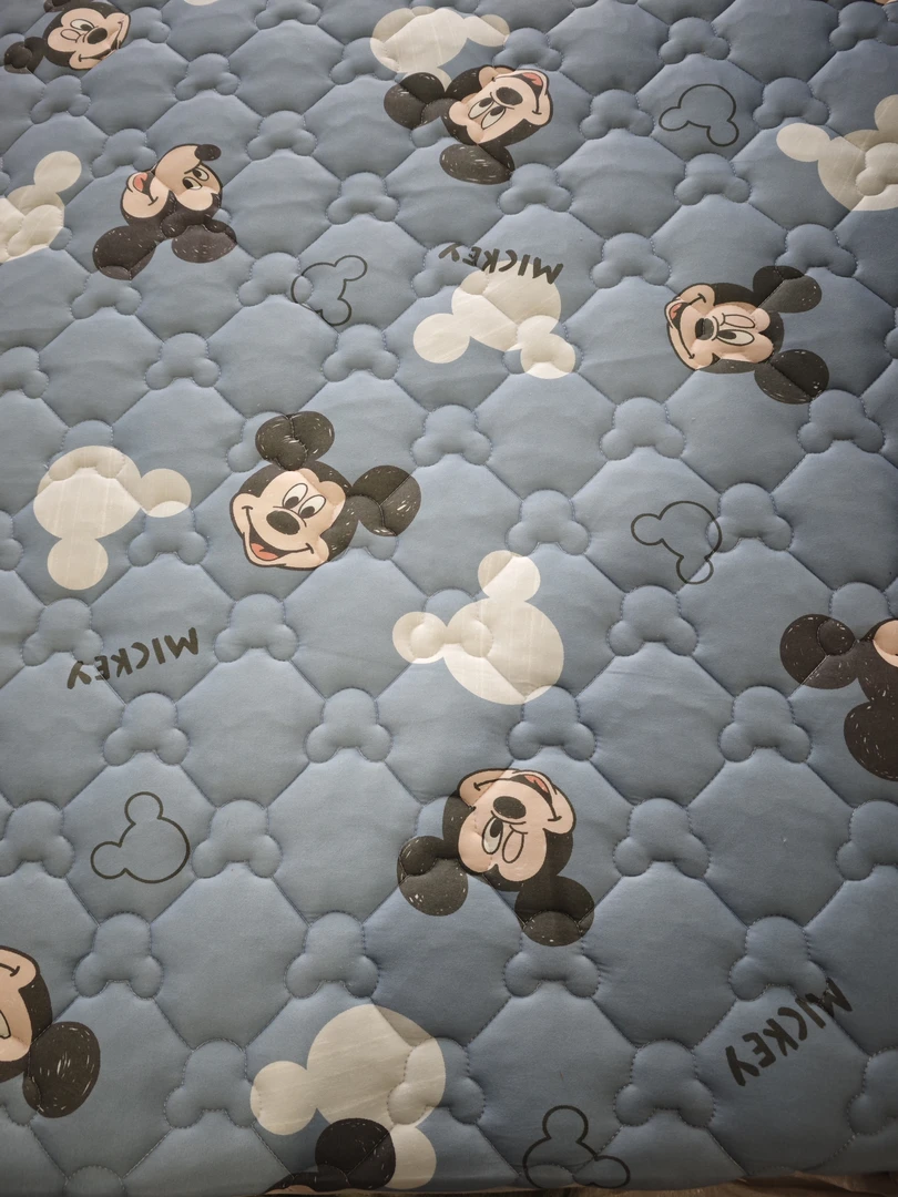 夹棉床护垫床垫加厚款式不挑随机软垫家用卧室床褥垫学生微瑕疵