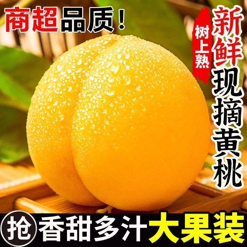 山东蒙阴甜黄桃锦绣黄桃大黄桃毛桃新鲜应季孕妇水果蜜甜多汁