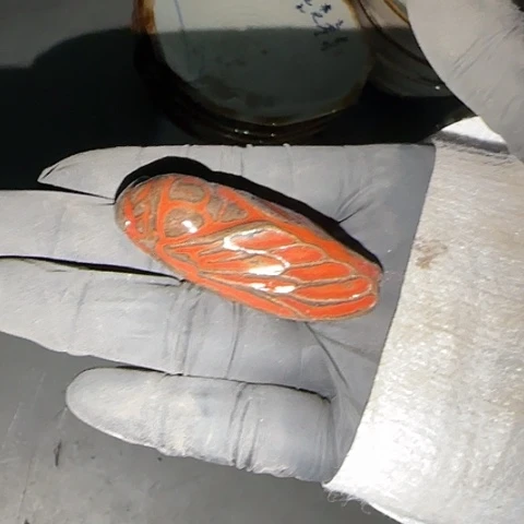 瓷片国营厂库存茶宠