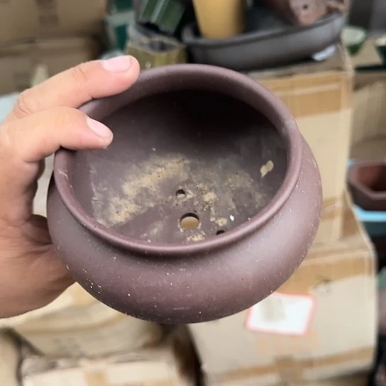 这几句真的好好哭一整集