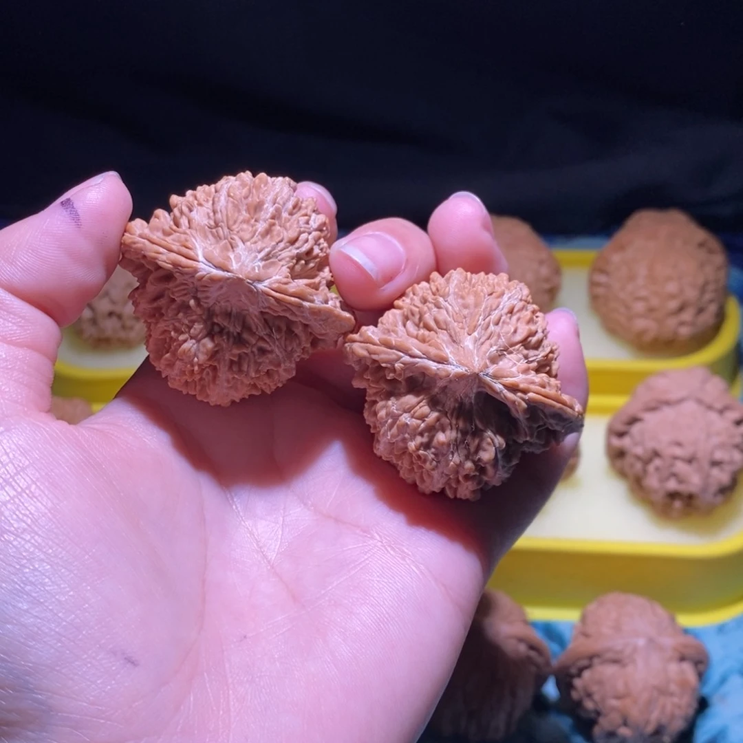 涞水县麻核桃满天星