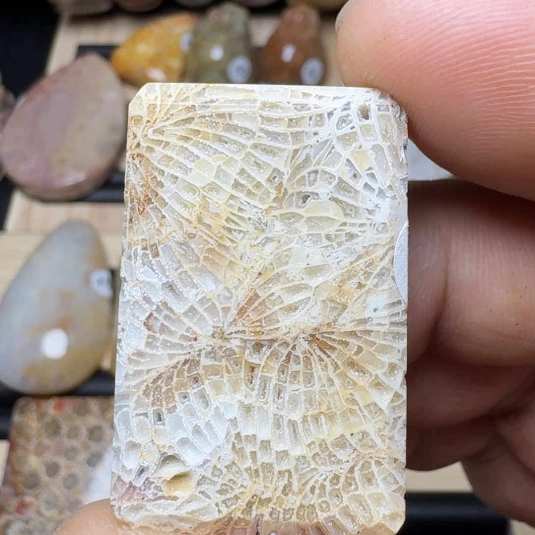 未镶嵌纯天然色有机玉石保真色石英质玉