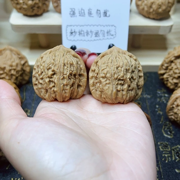 四喜狮子头36.5/36/36.5