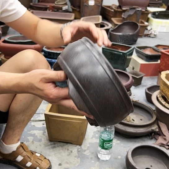 紫砂花盆里都能听到你