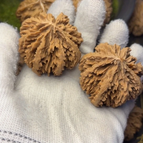 弯***力文玩核桃把件秦岭核桃20