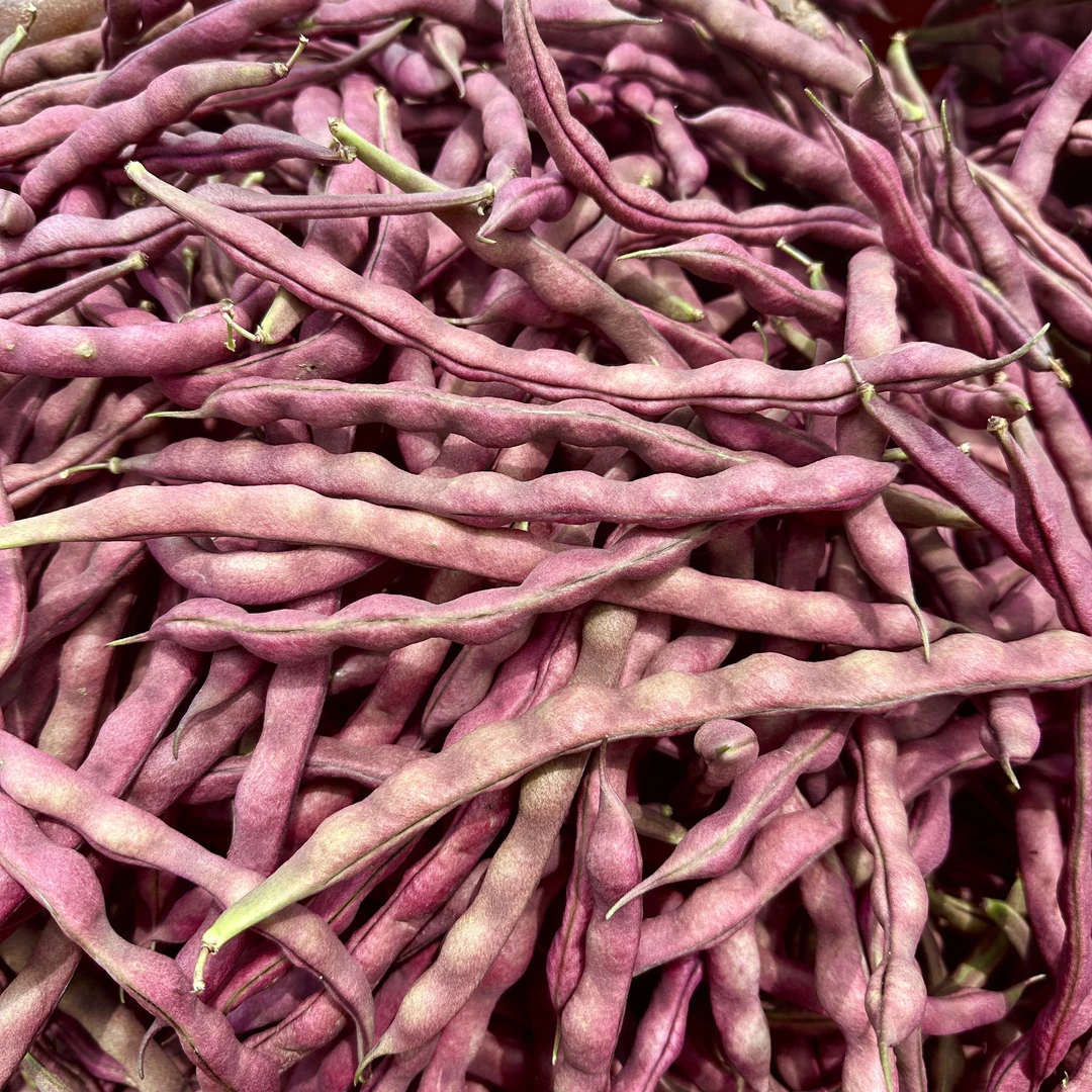 新鲜四季豆贵州本地四季豆角