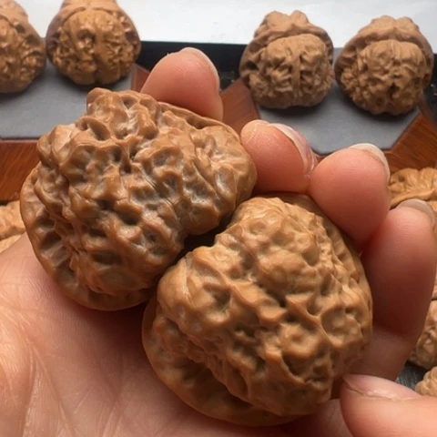 文玩核桃把件小***帅边41左右