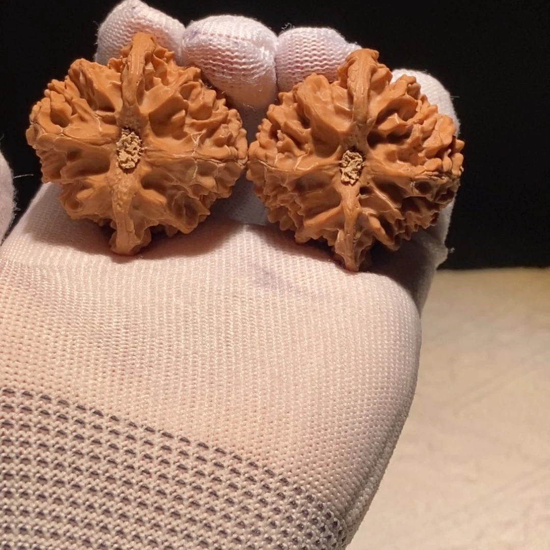 极品苹果园，43尺，满肉