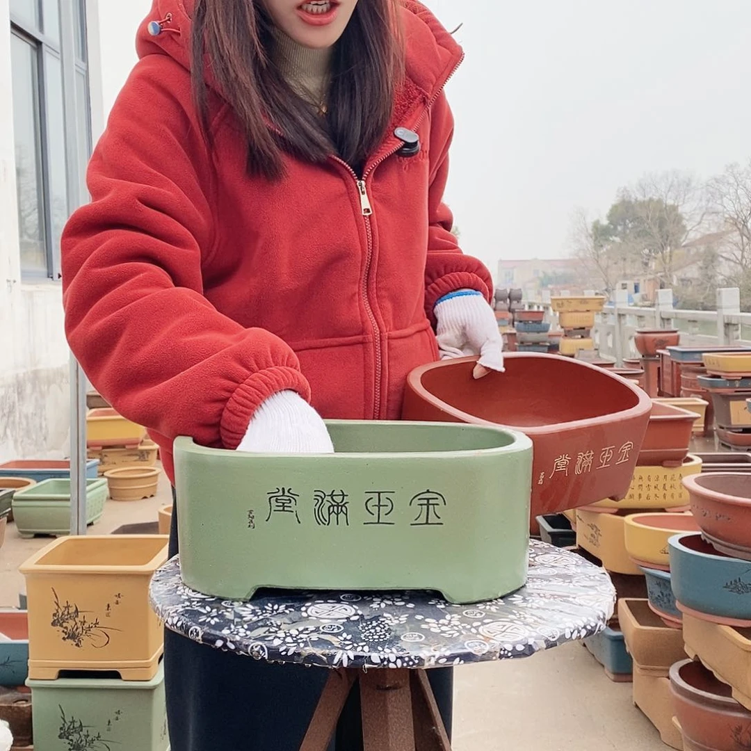 紫砂花盆紫砂花盆