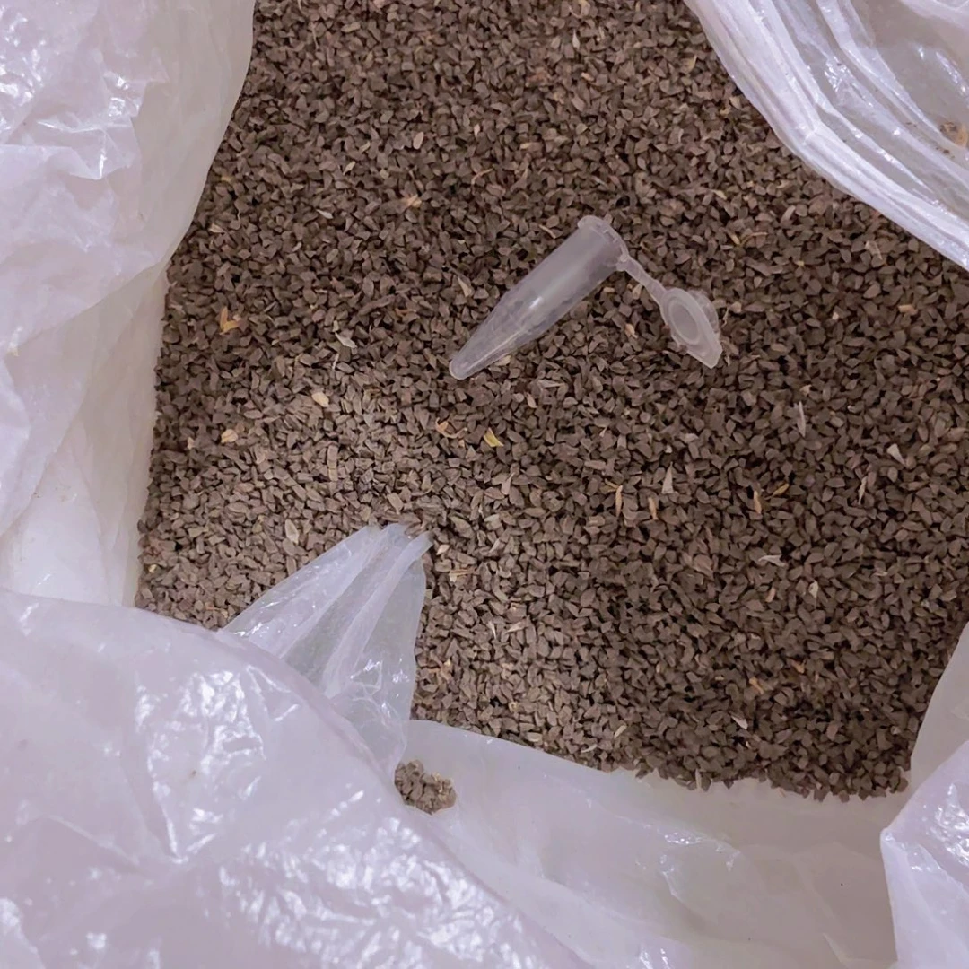 玉露种子保底200粒福利