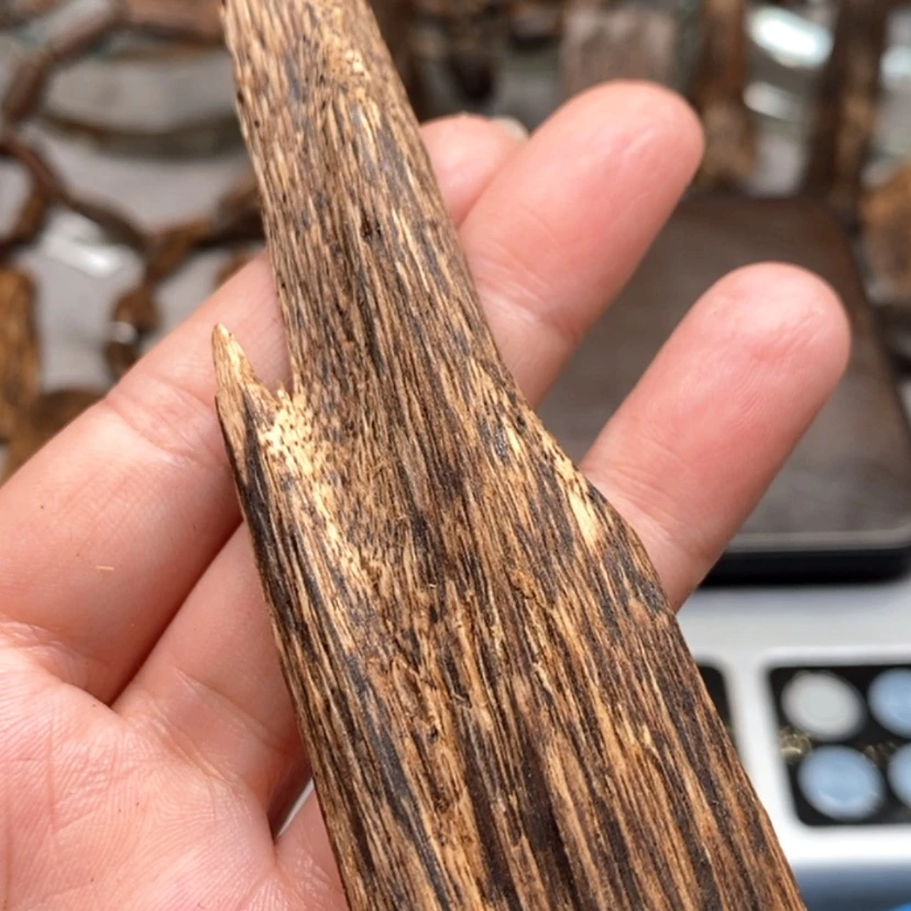 【闪购商品】沉香碎屑沉香金三角