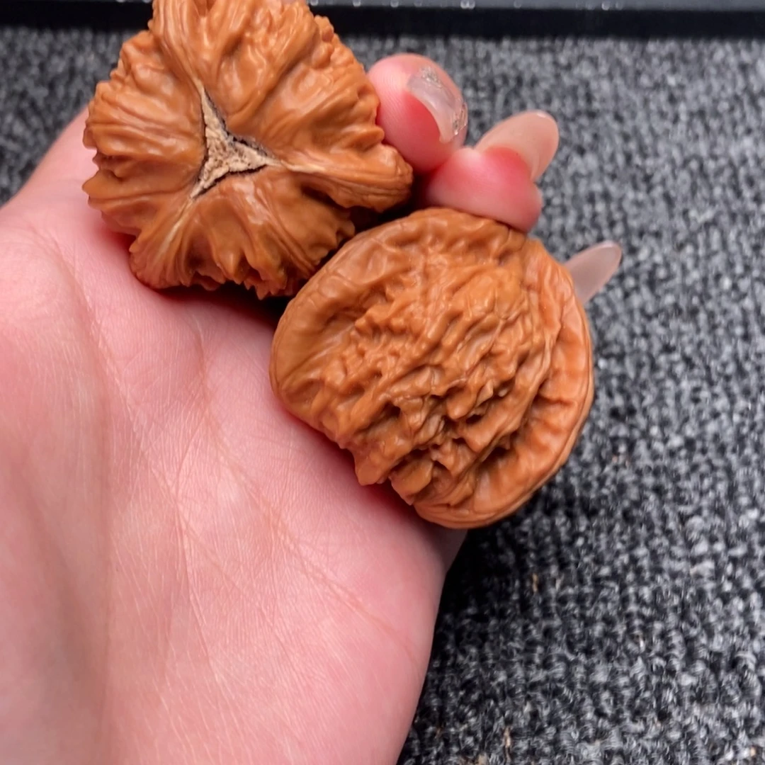 老***佳木质类白狮子正奔