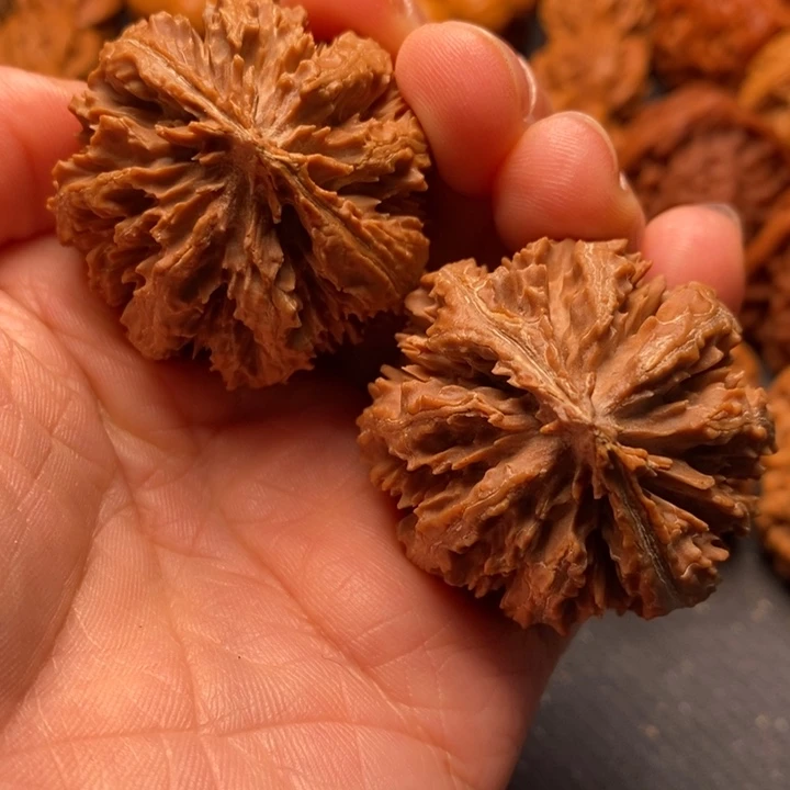 秦岭野生文玩核桃