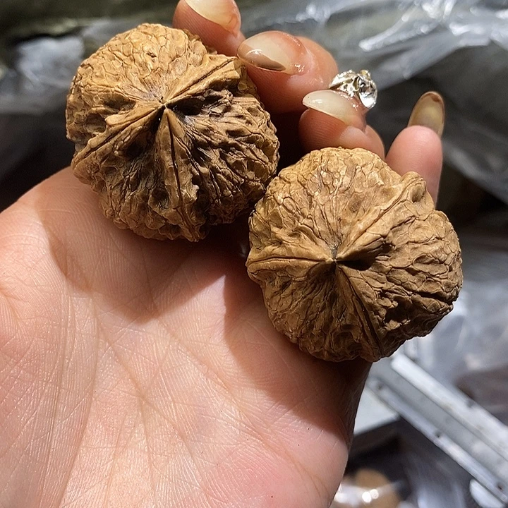 核桃云南野生铁核桃45号37mm