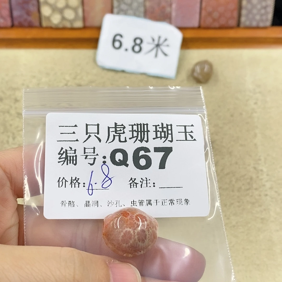 硅化珊瑚（珊瑚玉）1未镶嵌晨*