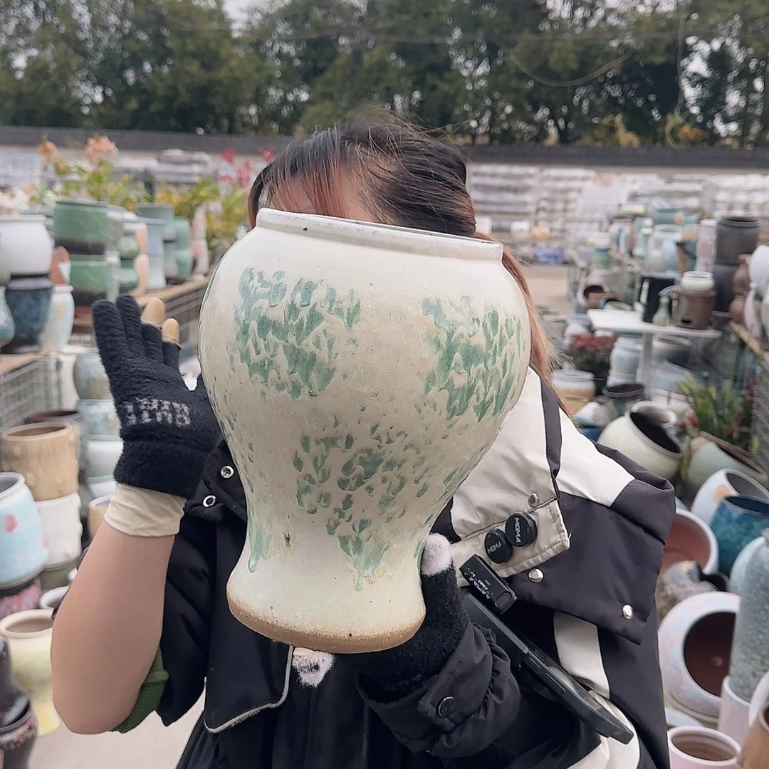 王嫂花盆1223-384高26口16