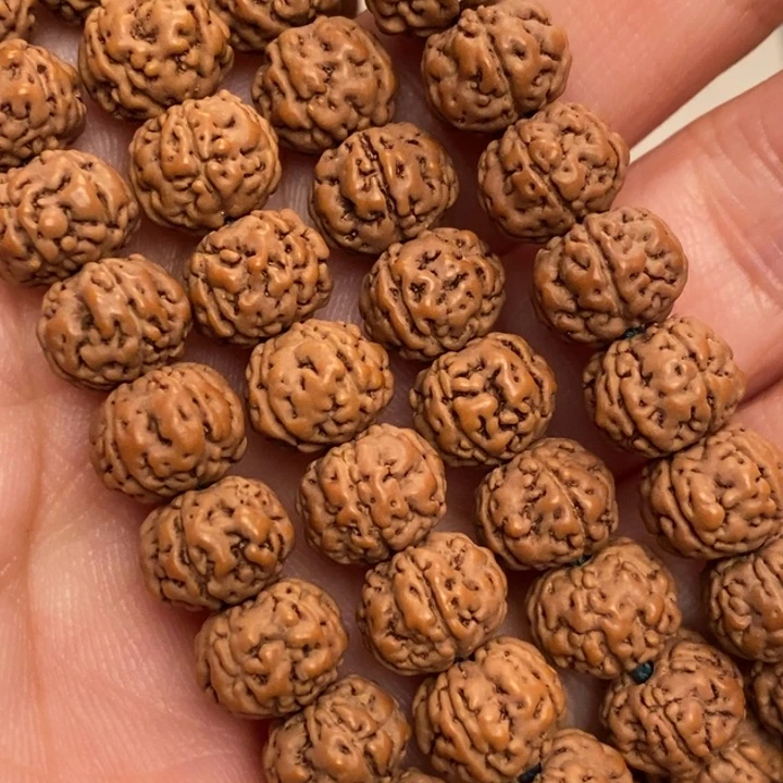 菩提B****?纯血老树王