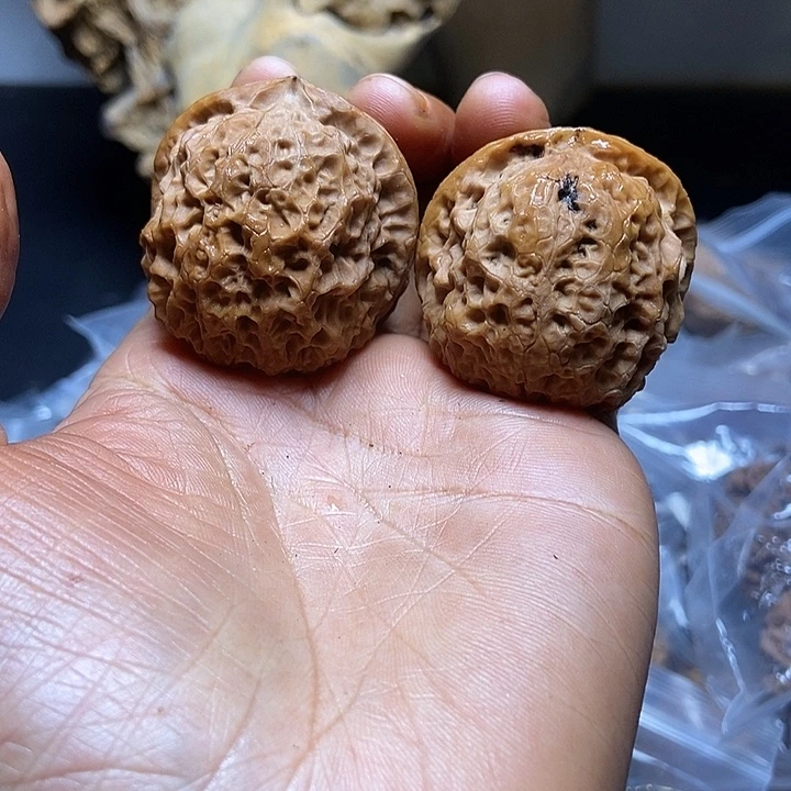 把件文玩核桃云南铁核桃基地17