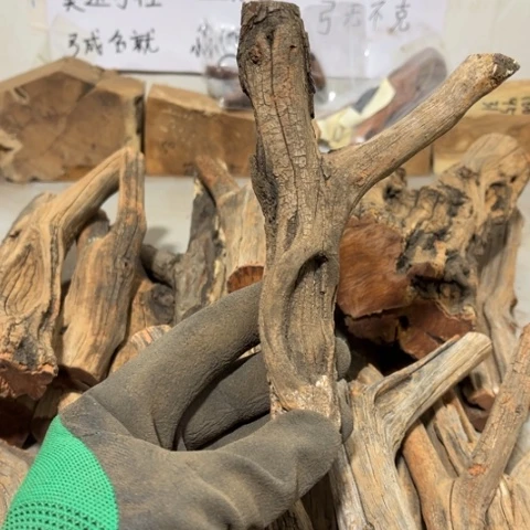 大果紫檀（缅甸花梨）穆**丶