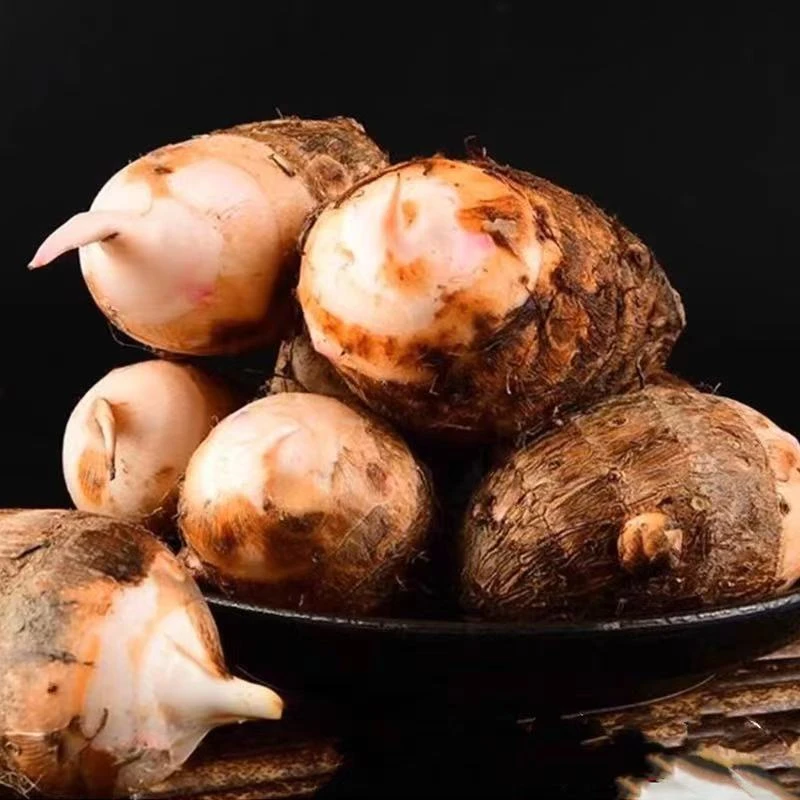 红心芋头、赶集人、土特产