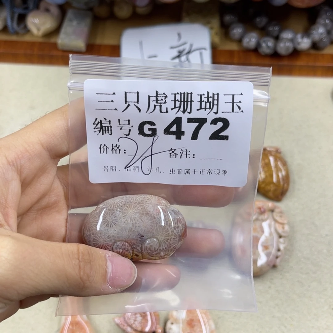 果***硅化珊瑚（珊瑚玉）未镶嵌h