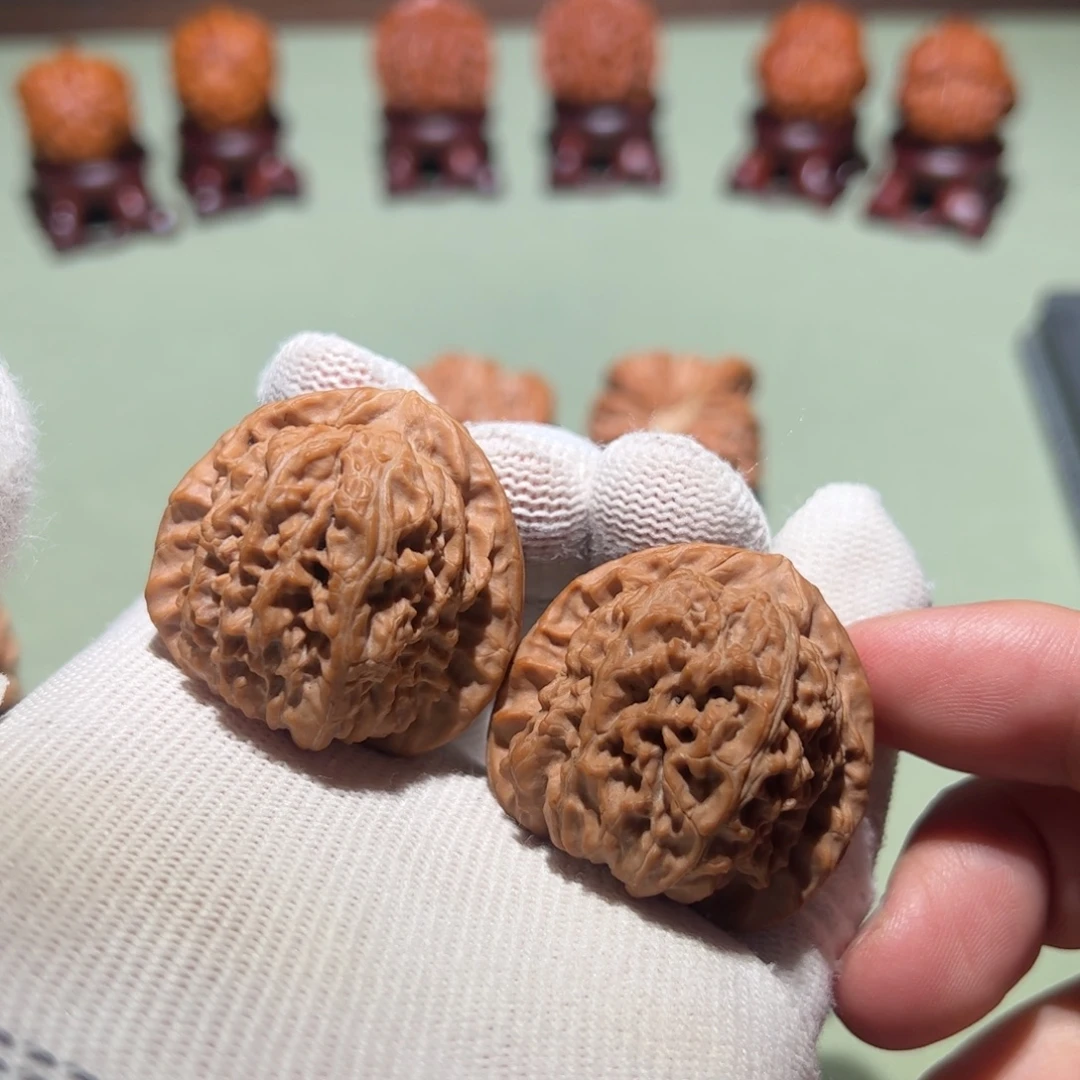 把件文玩核桃37白狮子三角白凹底