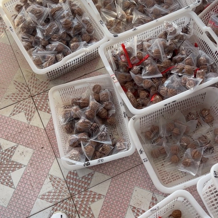 文玩核桃吊坠19.9新手大礼包1