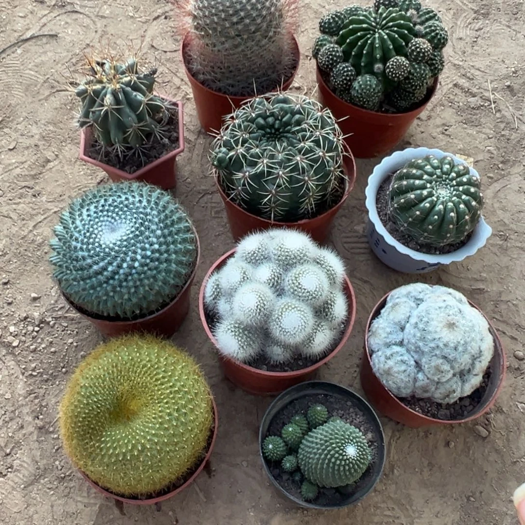 静***心零零落落 零零落落