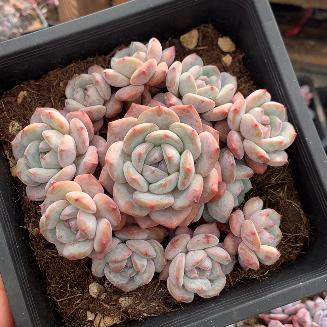 哈哈哈哈哈哈哈哈哈15